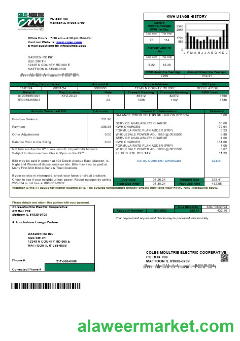 USA Coles – Moultrie business utility bill template in Word and PDF formats